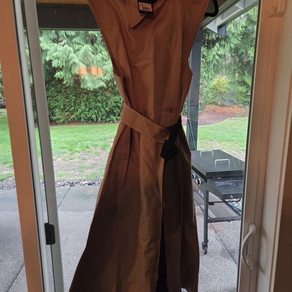 Classic Tan Trench Coat